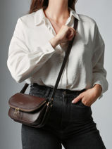 Small Leather Tradition Crossbody Bag Etrier Brown tradition ETRA059S-vue-porte