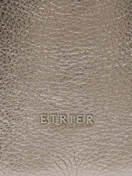 Shoulder Bag Jolly Leather Etrier Brown jolly EJOL145S other view 8